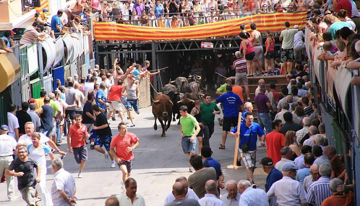 La ciutadania de Pedreguer decidirà sobre la presència del bou embolat i de l'encaixonat a les festes locals
