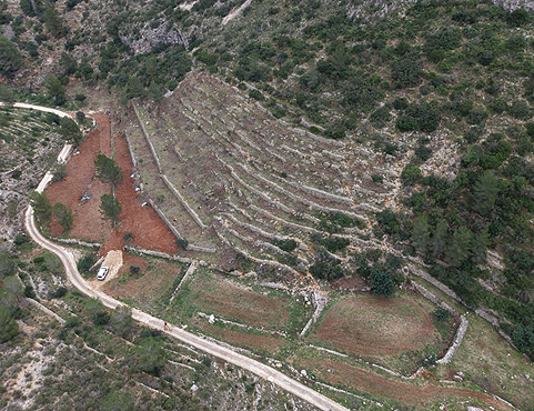 Pedreguer millora més d’1 hectàrea de cultius agroforestals per a previndre incendis