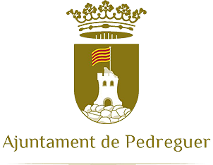 Ordre del dia del ple (29 d'octubre)