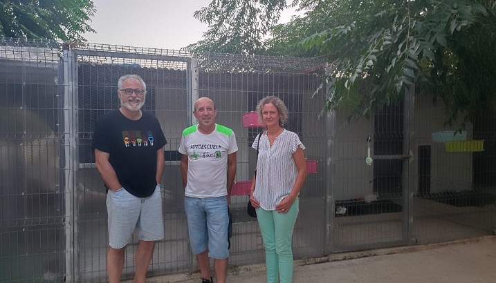 La Colònia Felina nº  8 de Pedreguer: 62 gats, un model pioner de gestió ètica