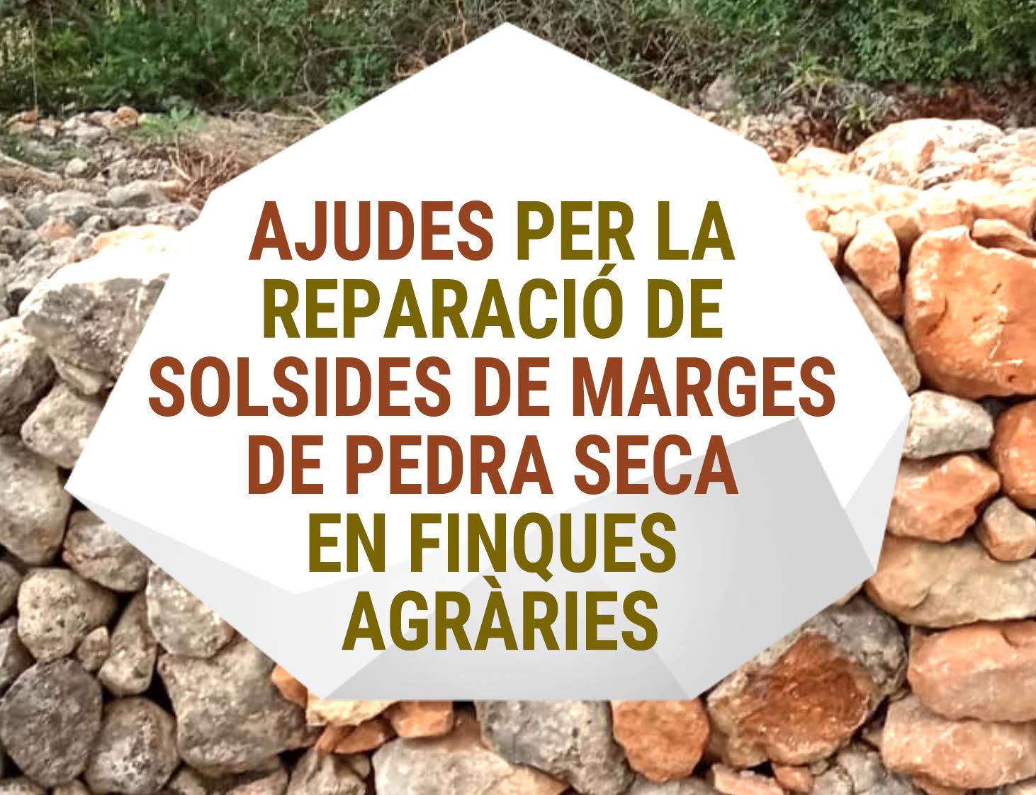 SUBVENCIONES PARA REPARACIONES DE DERRUMBES EN MÁRGENES DE PIEDRA
